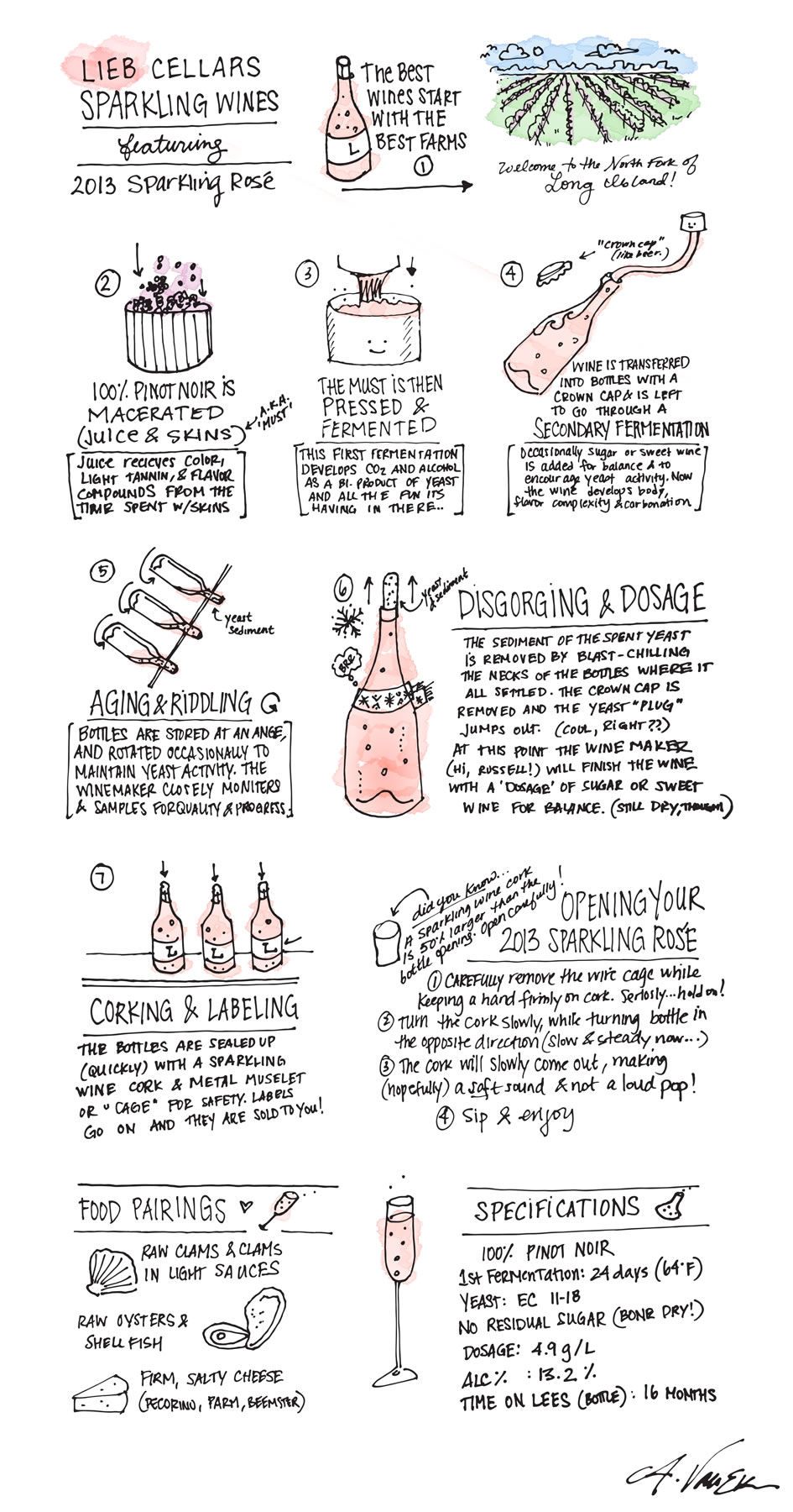 Wine, Illustrated: 2013 Lieb Cellars Sparkling Rose
