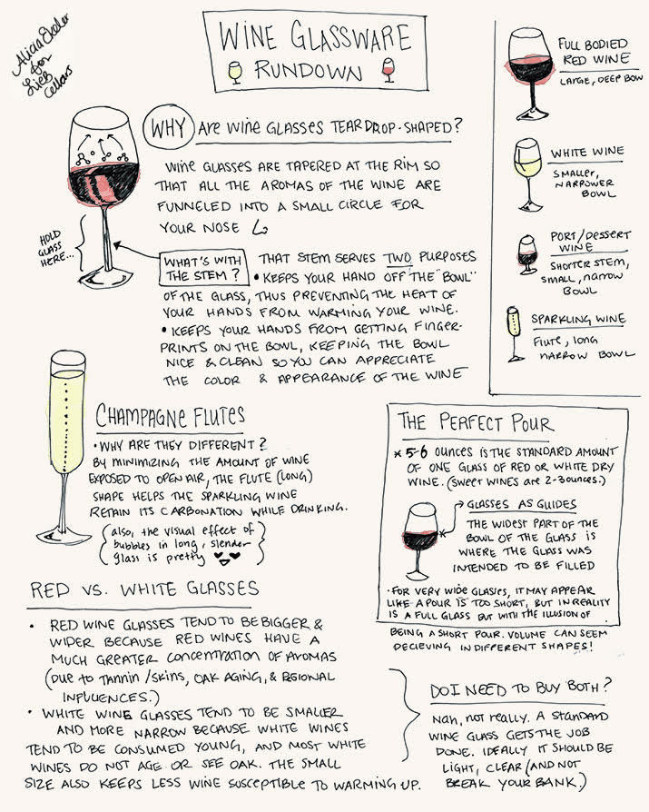 Wine, Illustrated: Wine Glassware Rundown!
