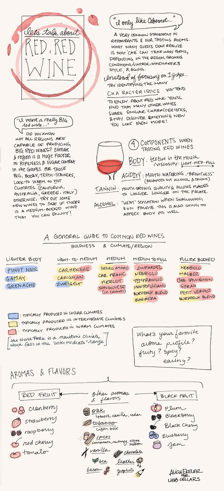 Wine Illustrated: Red Red Wine!